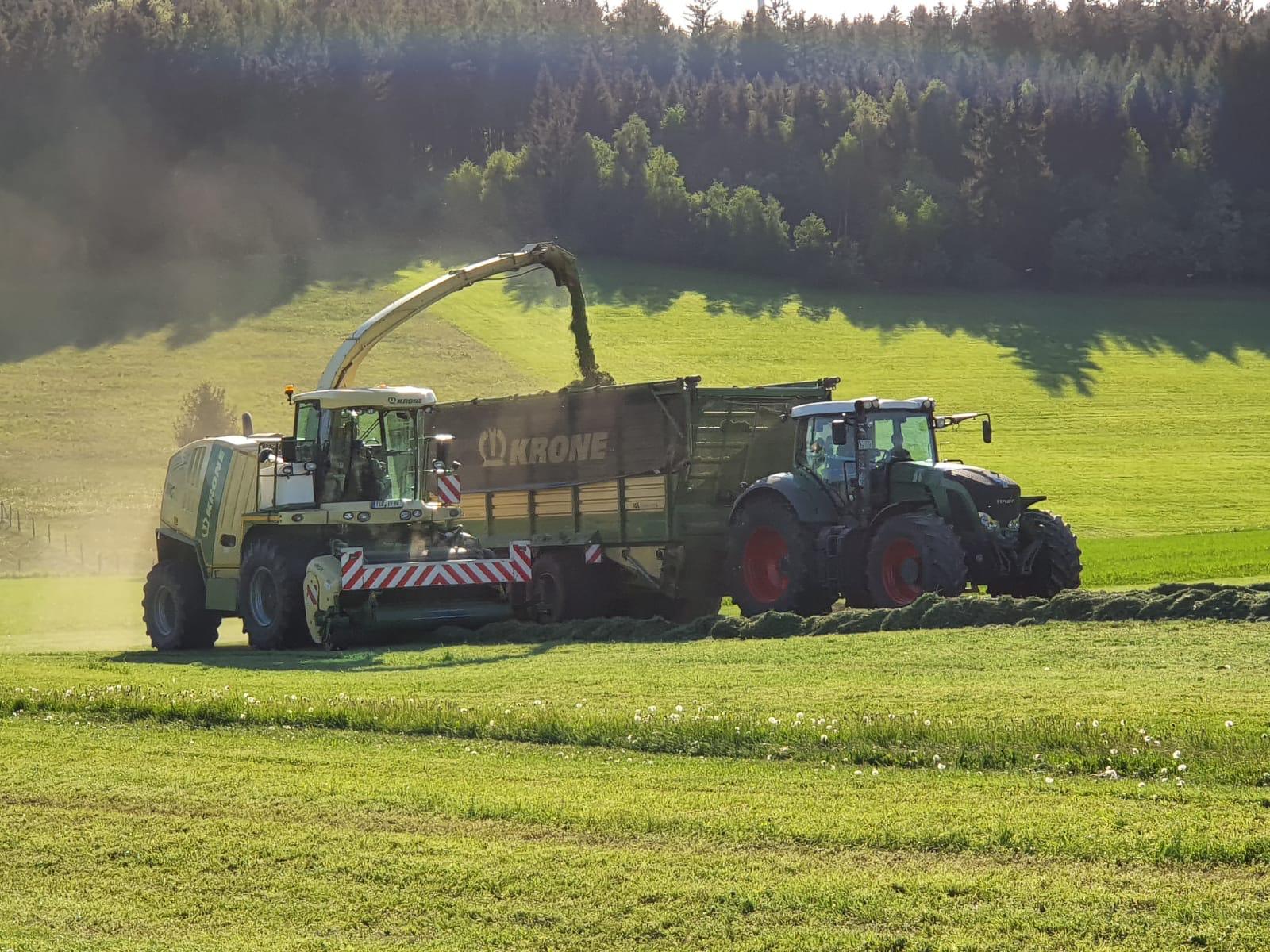 Mähdrusch von Getreide, Gräsern und Sonderfrüchten
